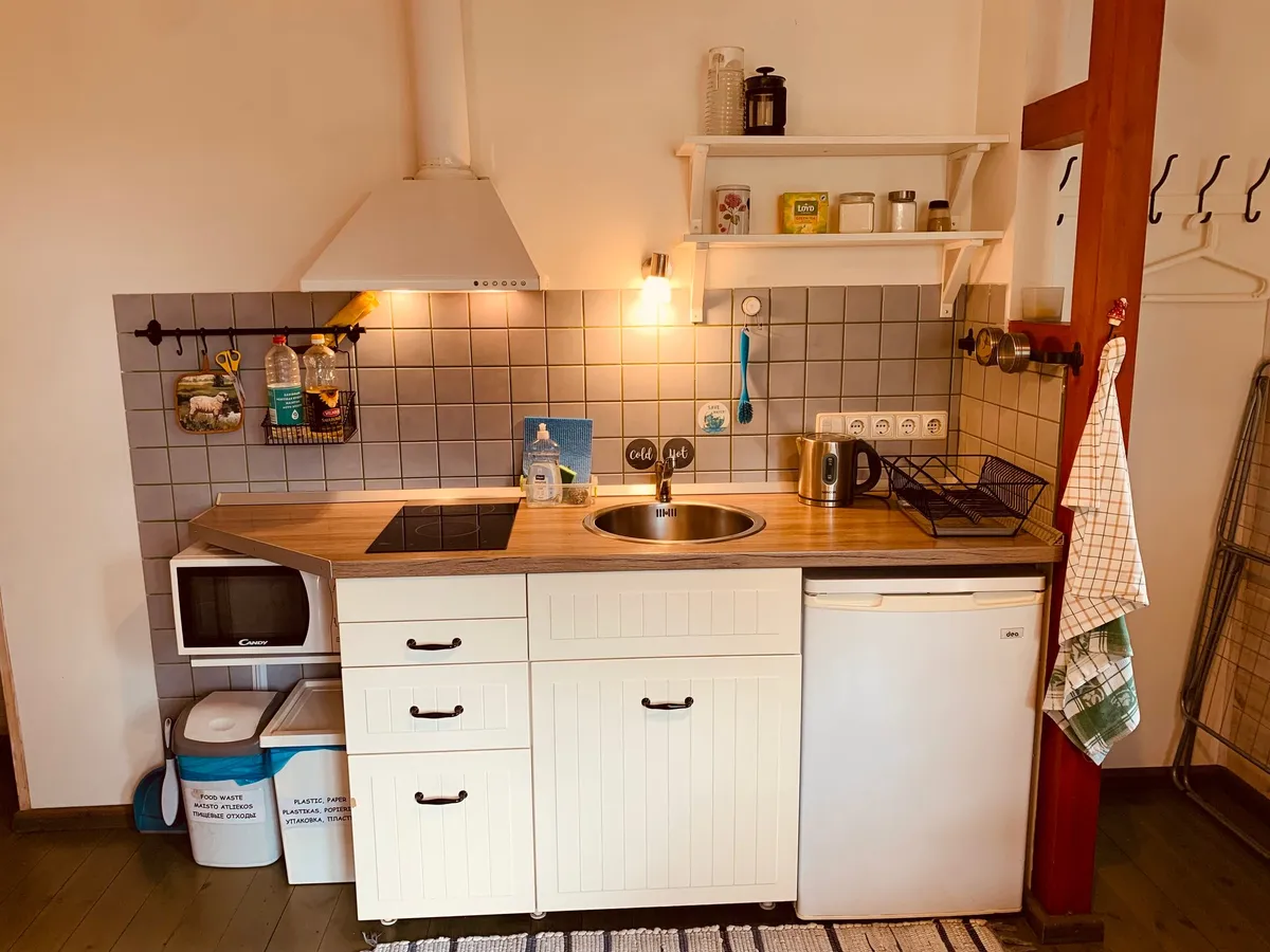 2 apartamentas: virtuvė