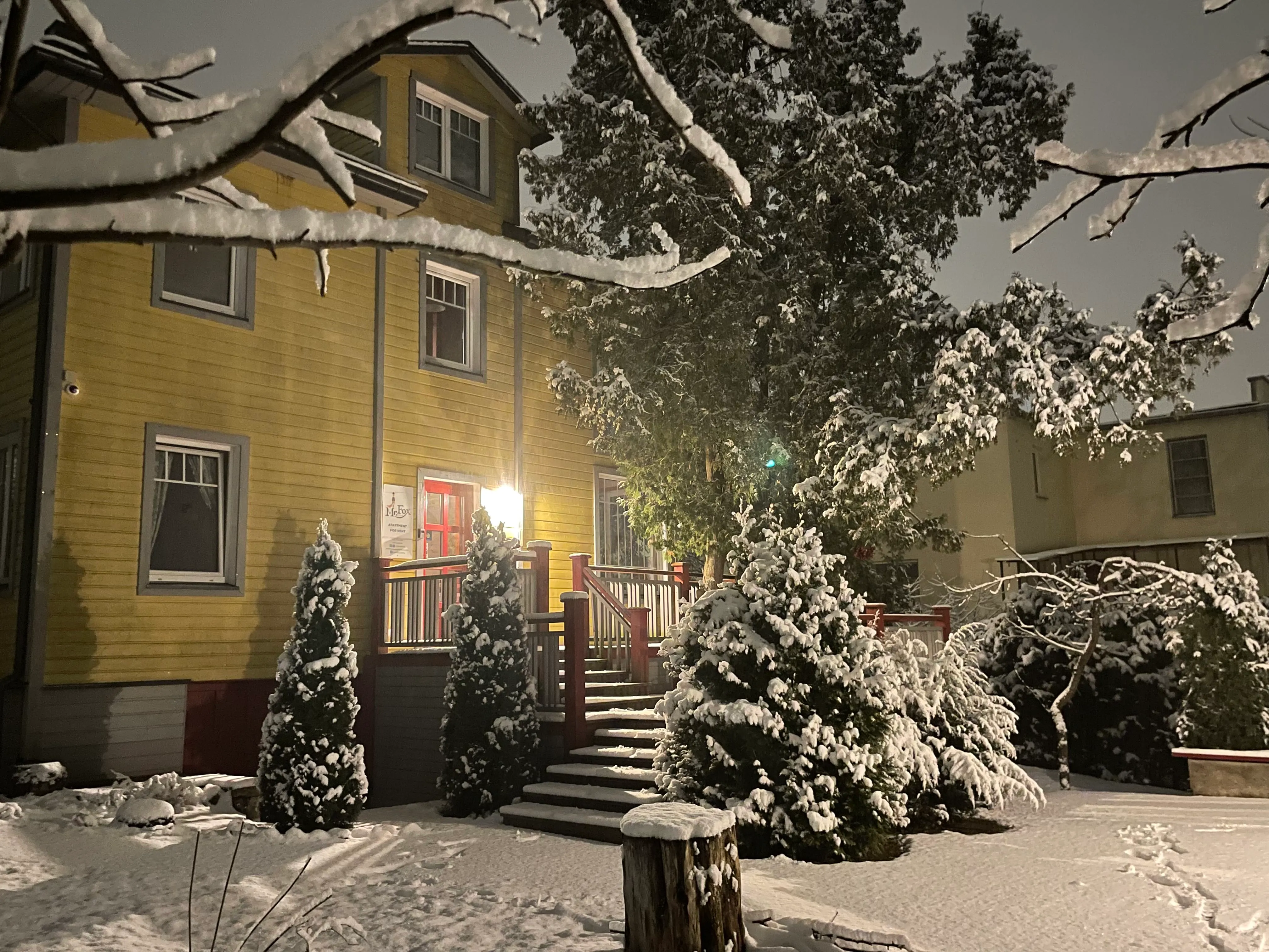 The yellow wooden house among snow-dusted pines